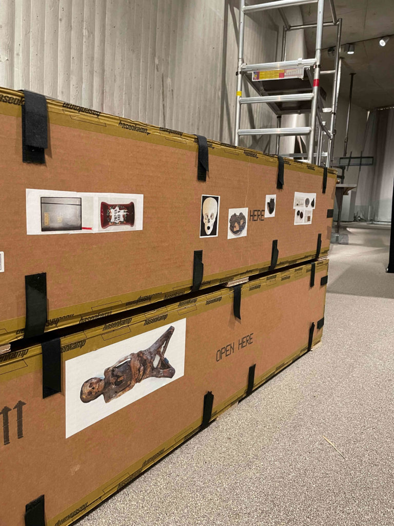Erste Kisten mit Mumien stehen im Ausstellungsraum.