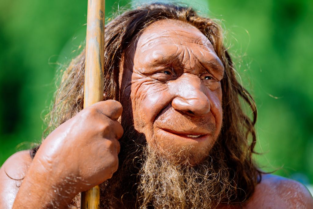Die Neanderthaler Rekonstruktion Mr. N im Profilbild