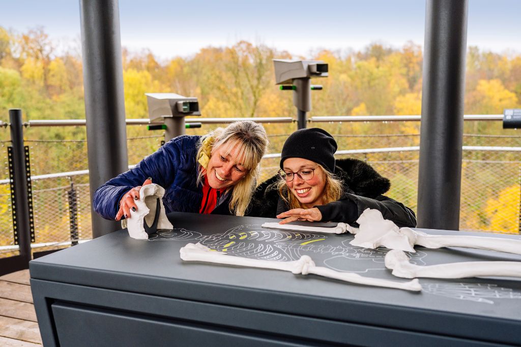 At the site where the Neanderthal was found, there is now an adventure tower where you can discover the Stone Age Neander Valley.